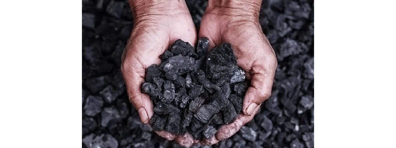 ගල්අඟුරු ගනුදෙනු : කොමිසමේ කටයුතු අද සිට